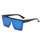 Sunglasses Frame Siamese | Stylus Shades