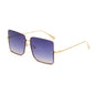 Fashion Trendy Sunglasses | Stylus Shades