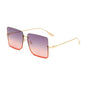 Fashion Trendy Sunglasses | Stylus Shades