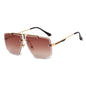 Trimmed Sunglasses | Stylus Shades
