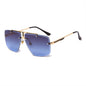Trimmed Sunglasses | Stylus Shades