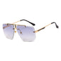 Trimmed Sunglasses | Stylus Shades