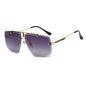 Trimmed Sunglasses | Stylus Shades