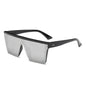 Sunglasses Frame Siamese | Stylus Shades