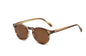 Retro Polarized Sunglasses | Stylus Shades