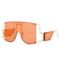 Metal frame sunglasses | Stylus Shades